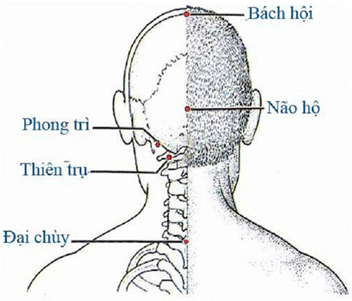 HUYỆT VÙNG ĐẦU (MẶT SAU) Tranh châm cứu do bộ y tế ban hành