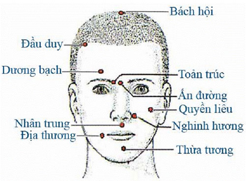 Tranh châm cứu Tranh châm cứu do bộ y tế ban hành