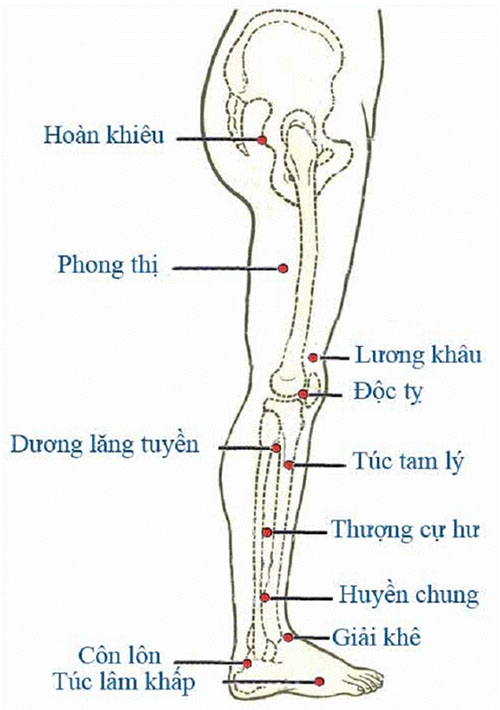 HUYỆT VÙNG CHÂN (MẶT BÊN) Tranh châm cứu do bộ y tế ban hành